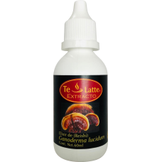 Extracto de Ganoderma Lucidum (REISHI) Extracto de Ganoderma Lucidum (REISHI)