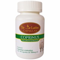 Capsulas de Coprinus (Coprinus Comatus) Capsulas de Coprinus (Coprinus Comatus)