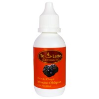 Extracto de Inonotus Obliquus (Chaga) Extracto de Inonotus Obliquus (Chaga)