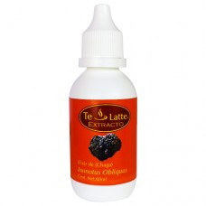 Extracto de Inonotus Obliquus (Chaga) Extracto de Inonotus Obliquus (Chaga)