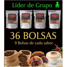 Paquete Líder de Grurpo Paquete Líder de Grurpo