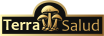 Libélula Academia de Belleza Libélula Academia de Belleza